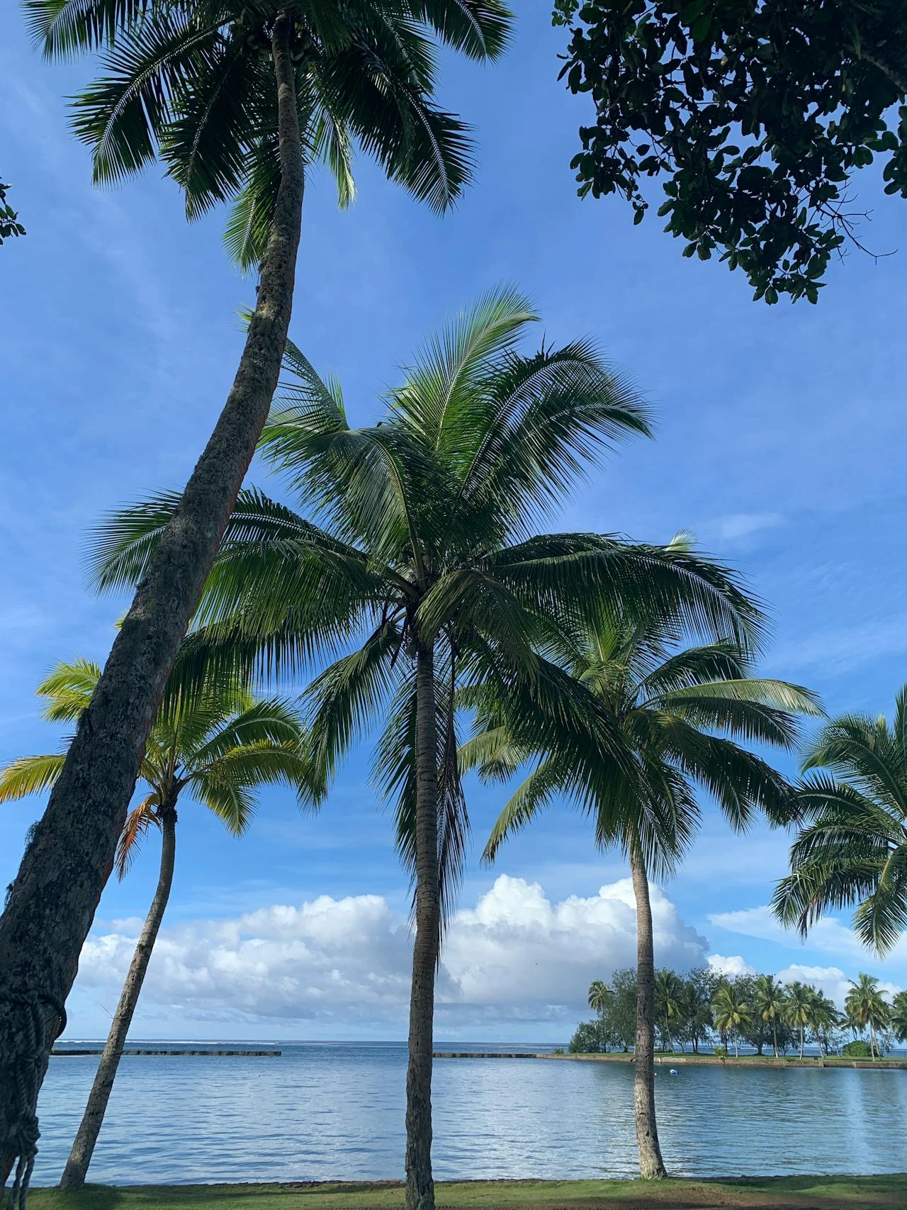 Hanging Out With the Stars in Fiji