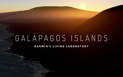 Galapagos Islands Now On Google Street View!