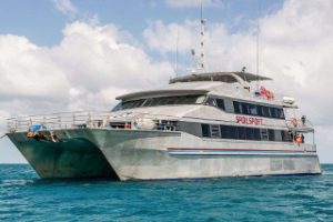 Mike Ball's Spoilsport liveaboard, for your Coral Sea diving cruise