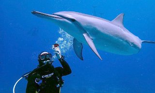 Diver with his best ocean-friend, a spinner dolphin