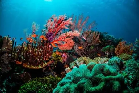 The Great Barrier Reef – Cairns is Just the Start