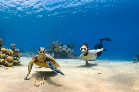 Planning a Bachelorette Party With a Diving Trip
