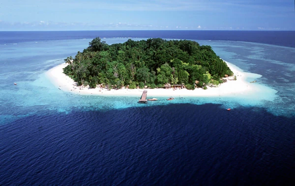A Brief History of Pulau Sipadan – From Obscure Island to World’s Top Dive Site