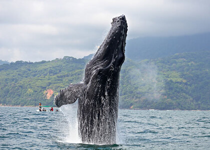 Costa Rica Tourist Attractions – Vacations in Central America