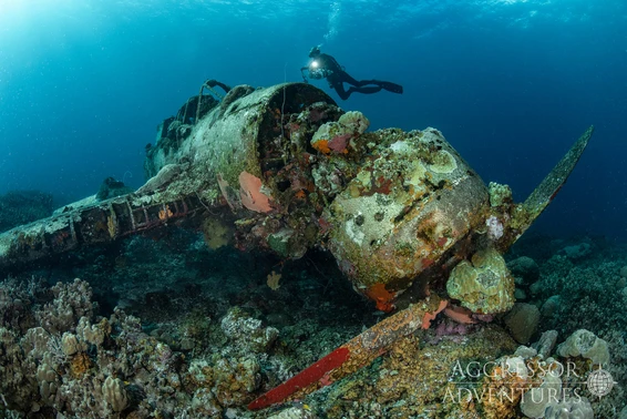 A World War II History of Palau: Setting the Scene for Invasion