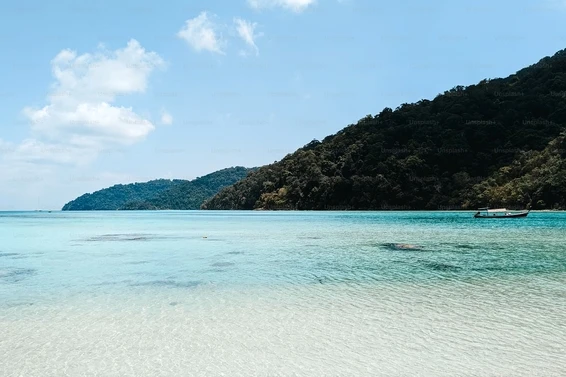 Mu Koh Surin National Park: Wild Heart of the Andaman