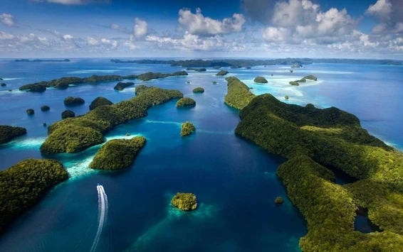 Palau’s Impressive History of Marine Protection – On the Frontline