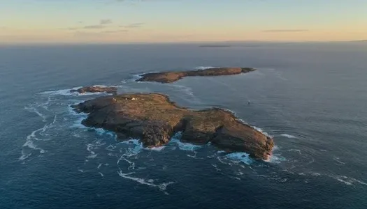 Neptune Islands Group Marine Park – The Realm of the Great White Shark