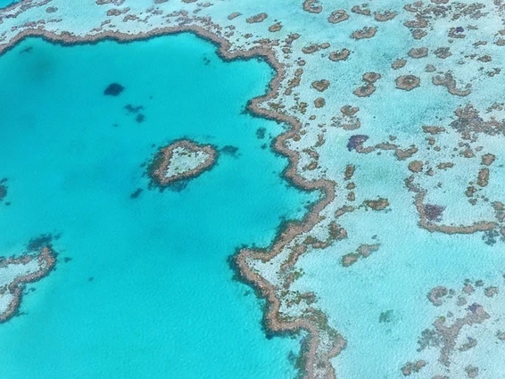 The Great Barrier Reef Marine Park: Conservation for the Future