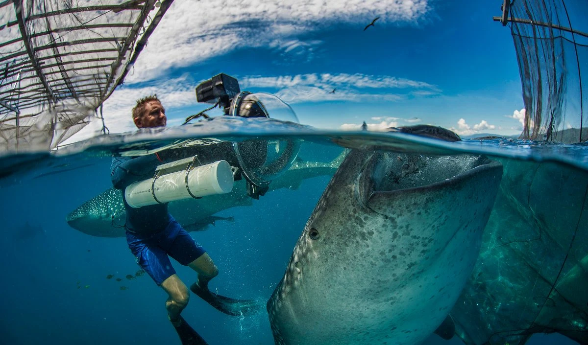 Have You Got What it Takes to be an Underwater Videographer?